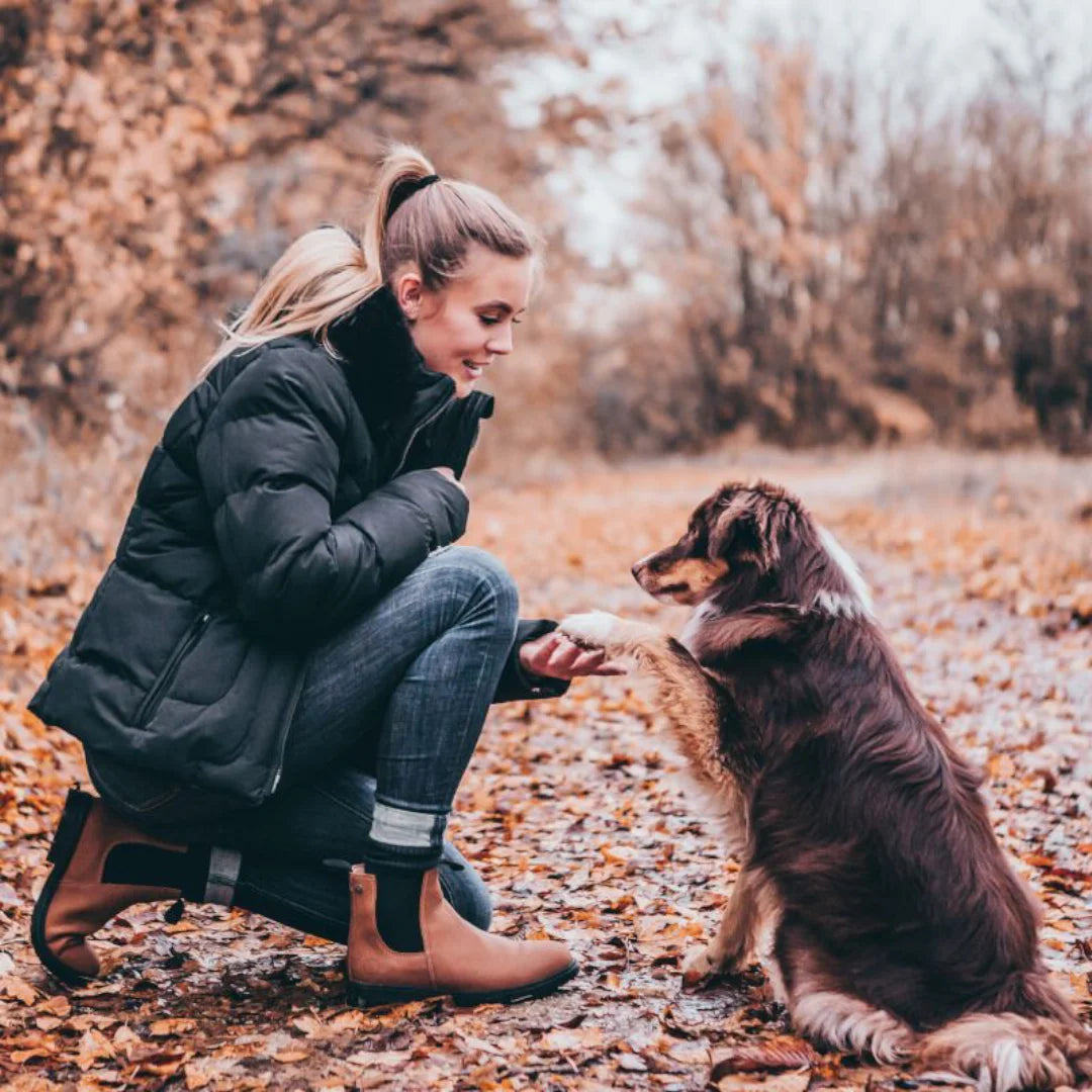 Stiefelette New Work Winter