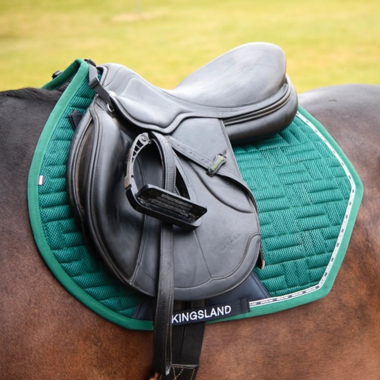 Schabracke Springen Nora