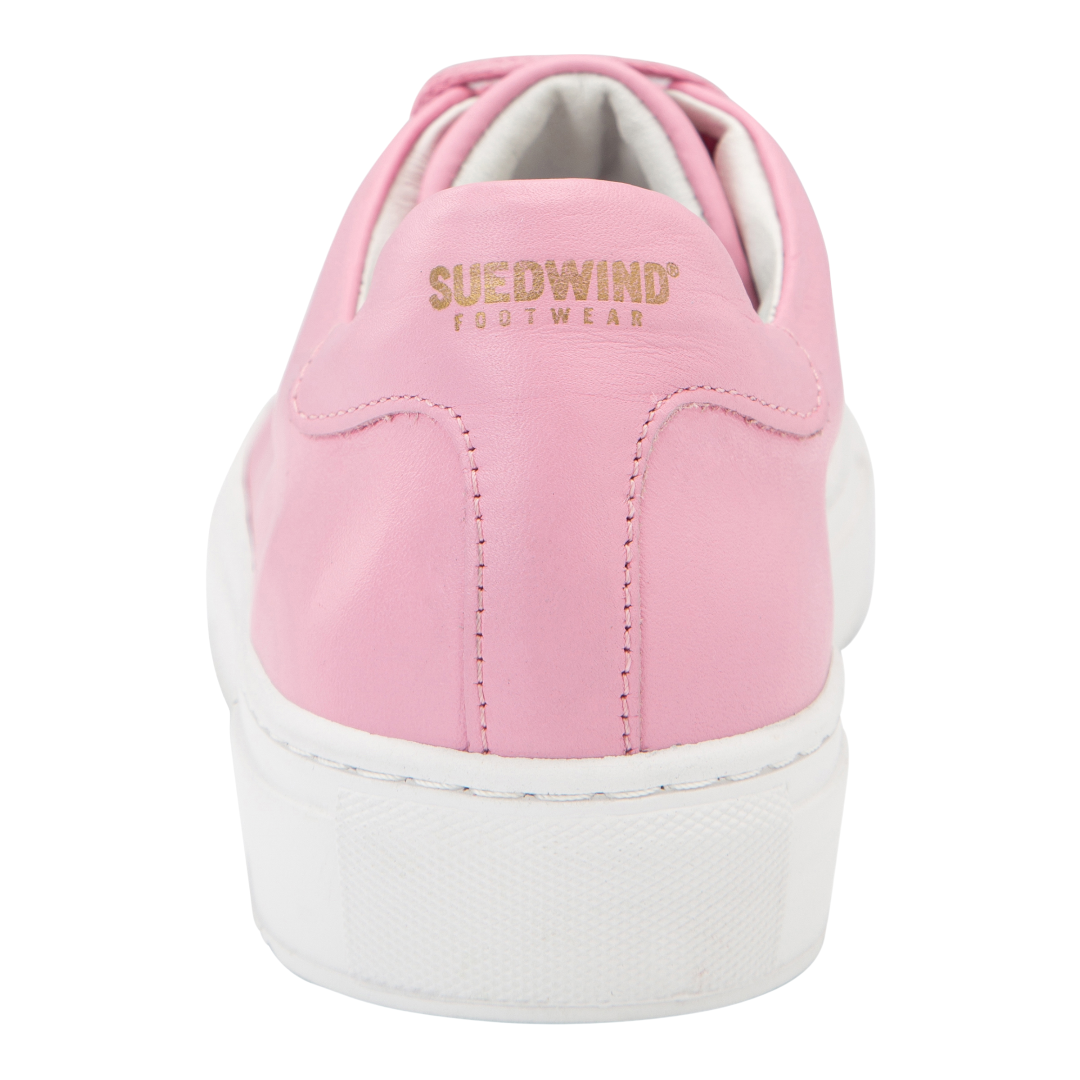 Sneaker Ashton